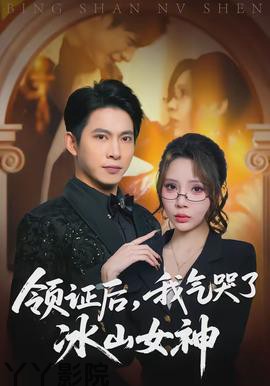 领证后，我气哭了冰山女神